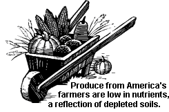 Produce from America's farmers are low in nutrients, a reflection of depleted soils.